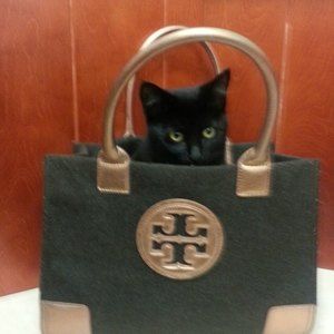 Meet your Posher, Tori